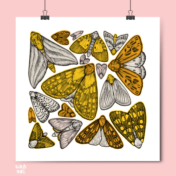 £5 Sale Prints!