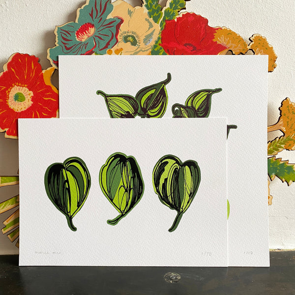 Limited Edition Philodendron Brasil Print Set