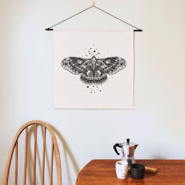 Cecropia Moth Wall Hanging 50 x 50cm