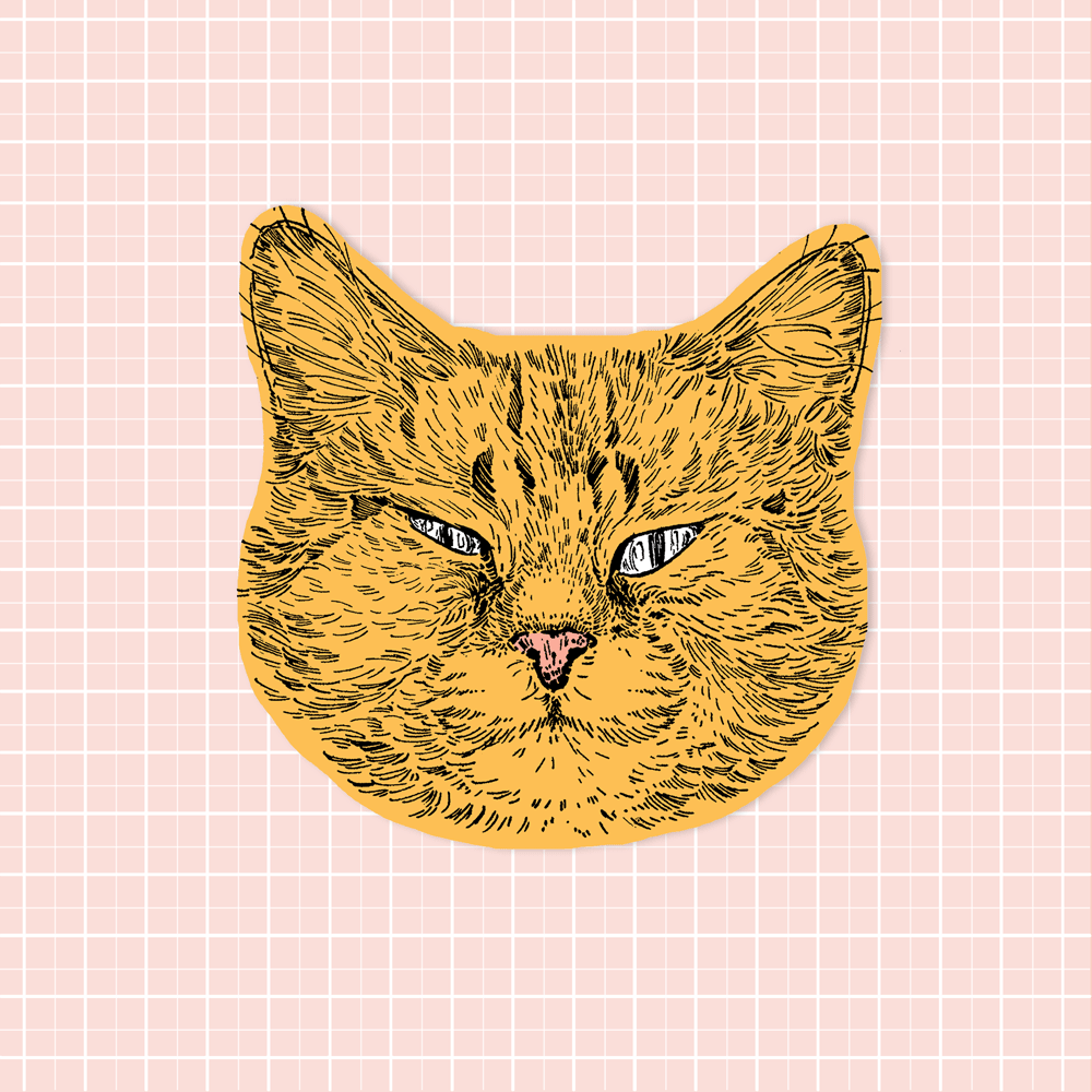 Flo Cat Sticker