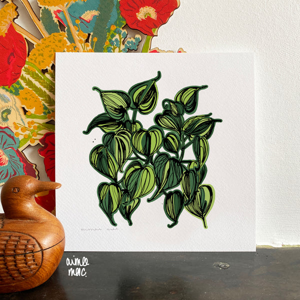 Limited Edition Philodendron Brasil Print Set