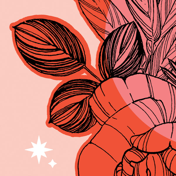 Rose & Sage Print