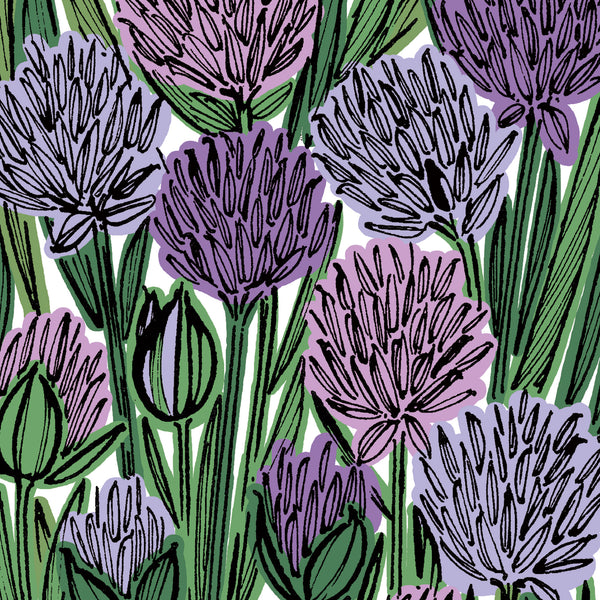 Chive Flowers Print - A4i