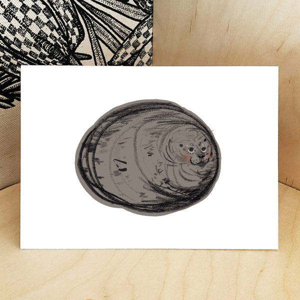 Seal Postcards - Set of Four - A6