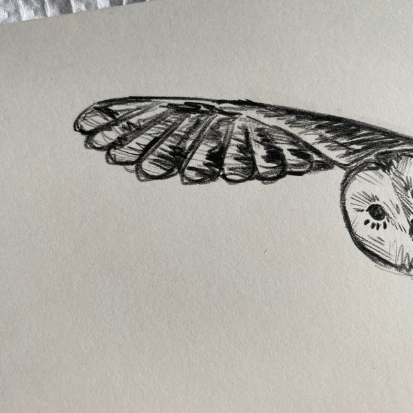 Barn Owl Original Drawing