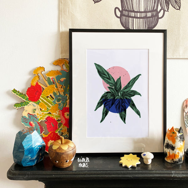 £5 Sale Prints!
