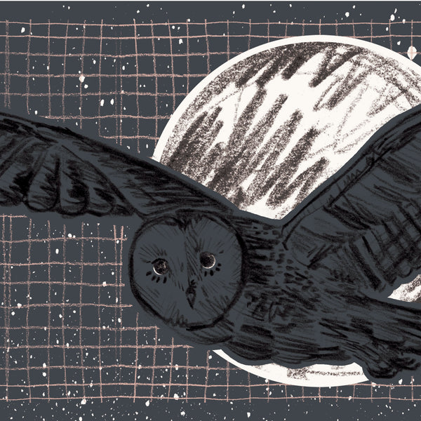Night Owl Print - A3