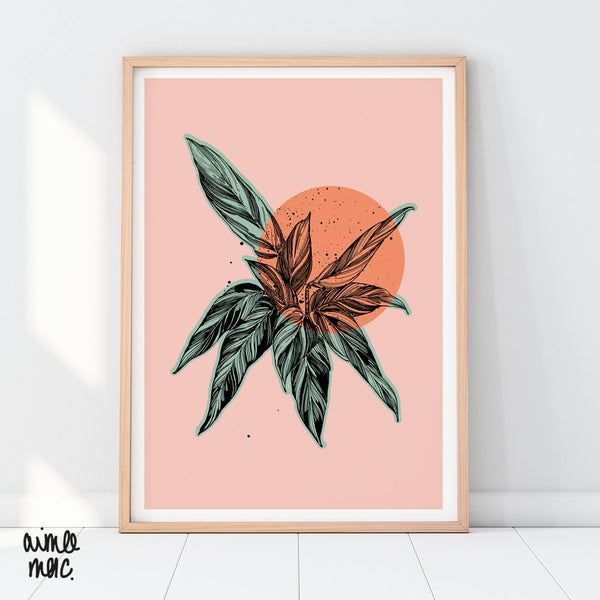 £5 Sale Prints!