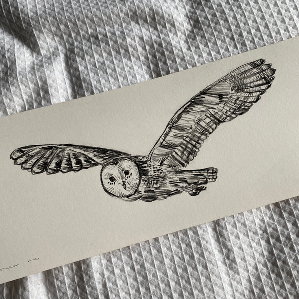 Barn Owl Original Drawing