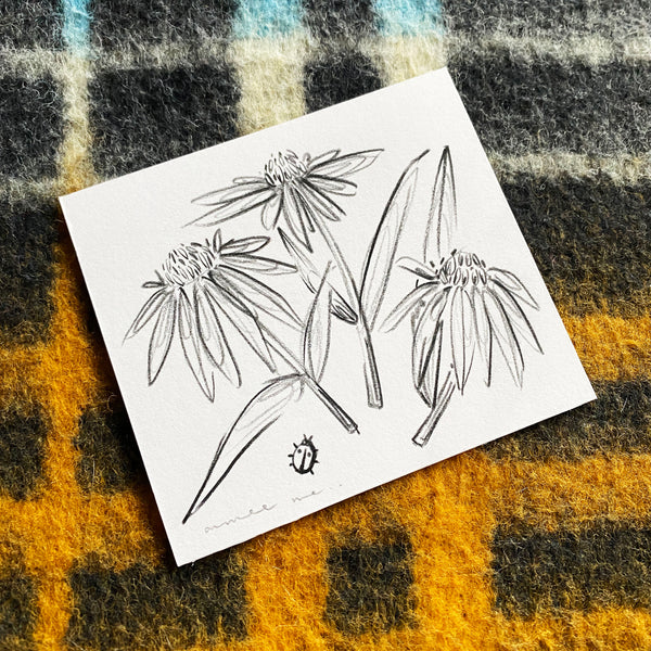 Echinacea Original Mini